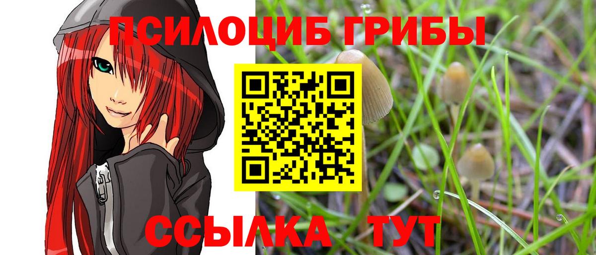 Псилоцибиновые грибы мухоморы Владимир